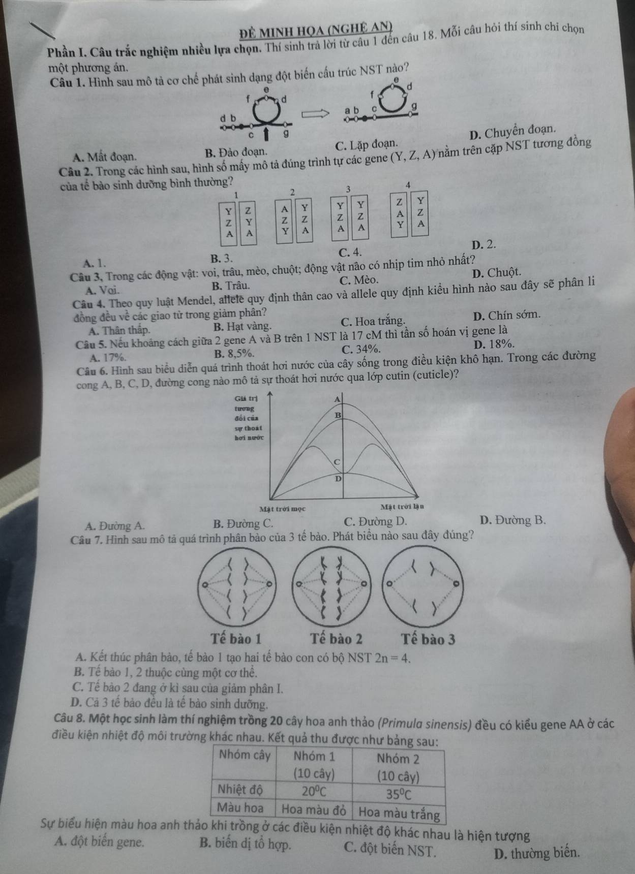 đề minh họa (nghệ An)
Phần I. Câu trắc nghiệm nhiều lựa chọn. Thí sinh trả lời từ câu 1 đến câu 18. Mỗi câu hỏi thí sinh chí chọn
một phương án.
Câu 1. Hình sau mô tả cơ chế phát sinh dạng đột biến cấu trúc NST nào?
0
d
f d
d b a b C g
C g
A. Mất đoạn. B. Đảo đoạn. C. Lặp đoạn. D. Chuyển đoạn.
Câu 2. Trong các hình sau, hình số mấy mô tả đúng trình tự các gene (Y,Z,A) rầm trên cặp NST tương đồng
của tế bào sinh dưỡng bình thường?
1 2 3 4
Y Y Y  Y
Y z ; z Z Z
Y
D Y A A A
D. 2.
A. 1. B. 3. C. 4.
Câu 3, Trong các động vật: voi, trâu, mèo, chuột; động vật não có nhịp tim nhỏ nhất?
D. Chuột.
A. Voi. B. Trâu. C. Mèo.
Câu 4. Theo quy luật Mendel, allele quy định thân cao và allele quy định kiều hình nào sau đây sẽ phân li
đồng đều về các giao tử trong giảm phân? D. Chín sớm.
A. Thân thấp. B. Hạt vàng. C. Hoa trắng.
Cầu 5. Nếu khoảng cách giữa 2 gene A và B trên 1 NST là 17 cM thì tần số hoán vị gene là
A. 17%. B. 8,5%. C. 34%. D. 18%.
Câu 6. Hình sau biểu diễn quá trình thoát hơi nước của cây sống trong điều kiện khô hạn. Trong các đường
cong A, B, C, D, đường cong nào mô tả sự thoát hơi nước qua lớp cutin (cuticle)?
Giá trị A
tưong
đổi của
B
sự thoát
hơi nước
c
Mặt trời mọc Mặt trời làn
A. Đường A. B. Đường C. C. Đường D.
D. Đường B.
Câu 7. Hình sau mô tả quá trình phân bào của 3 tế bào. Phát biểu nào sau đây đúng?
。
Tế bào 1 Tế bào 2 Tế bào 3
A. Kết thúc phân bào, tế bào 1 tạo hai tế bào con có bộ NST 2n=4.
B. Tế bào 1, 2 thuộc cùng một cơ thể.
C. Tế bào 2 đang ở kì sau của giảm phân I.
D. Cả 3 tế bào đều là tế bào sinh dưỡng.
Câu 8. Một học sinh làm thí nghiệm trồng 20 cây hoa anh thảo (Primula sinensis) đều có kiểu gene AA ở các
điều kiện nhiệt độ môi trường khác nhau. Kết quả thu được như bảng sa
Sự biểu hiện màu hoa anh t điều kiện nhiệt độ khác nhau là hiện tượng
A. đột biến gene. B. biến dị tổ hợp. C. đột biến NST.
D. thường biển.