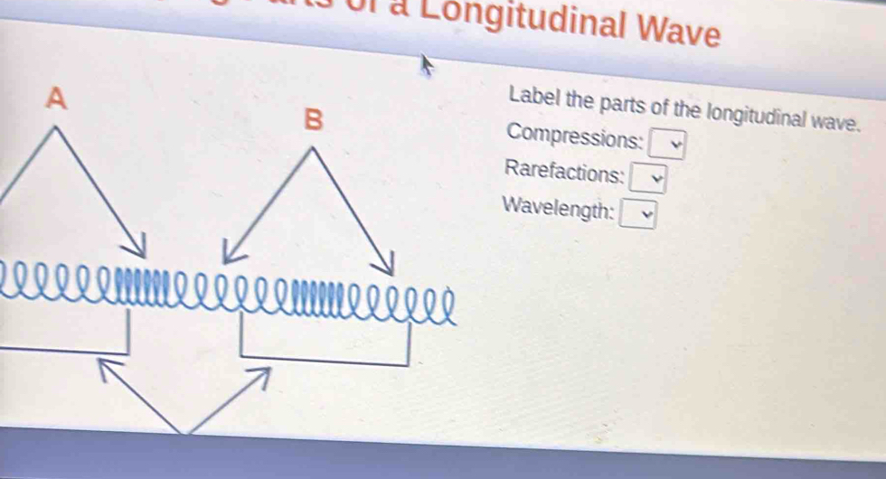 Solved: Tor à Longitudinal Wave Label the parts of the longitudinal ...