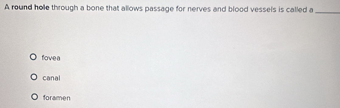 A round hole through a bone that allows passage for nerves and blood vessels is called a_
fovea
canal
foramen