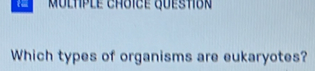 Which types of organisms are eukaryotes?