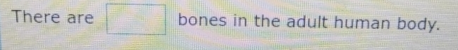 There are bones in the adult human body.