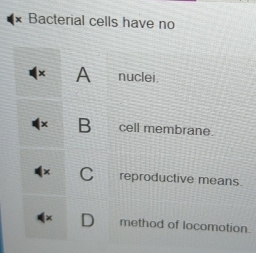 Bacterial cells have no 
n.