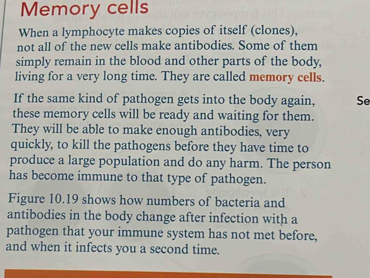 Memory cells 
When a lymphocyte makes copies of itself (clones), 
not all of the new cells make antibodies. Some of them 
simply remain in the blood and other parts of the body, 
living for a very long time. They are called memory cells. 
If the same kind of pathogen gets into the body again, Se 
these memory cells will be ready and waiting for them. 
They will be able to make enough antibodies, very 
quickly, to kill the pathogens before they have time to 
produce a large population and do any harm. The person 
has become immune to that type of pathogen. 
Figure 10.19 shows how numbers of bacteria and 
antibodies in the body change after infection with a 
pathogen that your immune system has not met before, 
and when it infects you a second time.