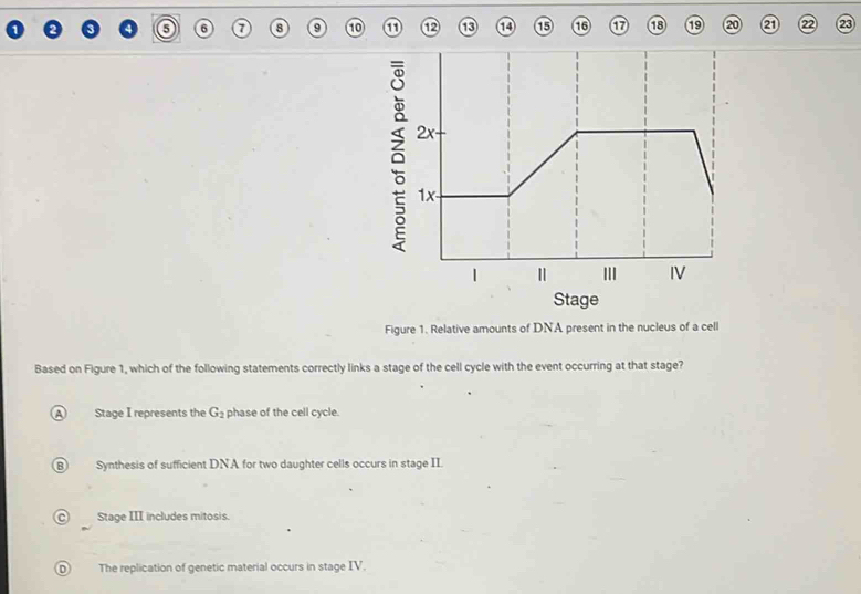 6 6 0 8 0 10 1 12 13 14 ⑮ 16 1 13 19 20 2 22 23
a
Stage
Figure 1. Relative amounts of DNA present in the nucleus of a cell
Based on Figure 1, which of the following statements correctly links a stage of the cell cycle with the event occurring at that stage?
A Stage I represents the G_2 phase of the cell cycle.
B) Synthesis of sufficient DNA for two daughter cells occurs in stage II.
Stage III includes mitosis.
The replication of genetic material occurs in stage IV.