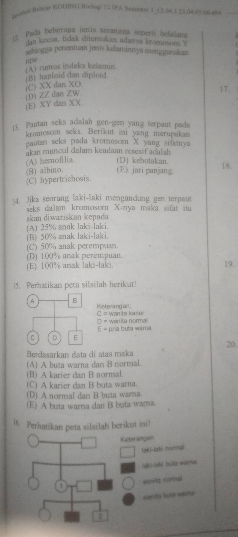 Revolusi Belajar KODING Biologi 12 IPA Semester 1_12.04.1.23.04.05.00.484_
2. Pada beberapa jenis serangga seperti belalang
dan kecoa, tidak ditemukan adanya kromosom Y
sehingga penentuan jenis kelaminnyamenggunakan
tipe
(A) rumus indeks kelamin.
(B) haploid dan diploid.
(C) XX dan XO.
17.
(D) ZZ dan ZW.
(E) XY dan XX.
13. Pautan seks adalah gen-gen yang terpaut pada
kromosom seks. Berikut ini yang merupakan
pautan seks pada kromosom X yang sifatnya
akan muncul dalam keadaan resesif adalah
(A) hemofilia. (D) kebotakan. 18.
(B) albino. (E) jari panjang.
(C) hypertrichosis.
14. Jika seorang laki-laki mengandung gen terpaut
seks dalam kromosom X-nya maka sifat itu
akan diwariskan kepada
(A) 25% anak laki-laki.
(B) 50% anak laki-laki.
(C) 50% anak perempuan.
(D) 100% anak perempuan.
(E) 100% anak laki-laki. 19.
15. Perhatikan peta silsilah berikut!
A
B
Keterangan:
C= wanita karier
D= wanita normal
E= pria buta warna
C D E
20.
Berdasarkan data di atas maka
(A) A buta warna dan B normal.
(B) A karier dan B normal.
(C) A karier dan B buta warna.
(D) A normal dan B buta warna.
(E) A buta warna dan B buta warna.
[6. Perhatikan peta silsilah berikut ini!
Keterangan
laki-laki normal
laki-laki buta wama
wanits normal
1
wanita buta wama
2