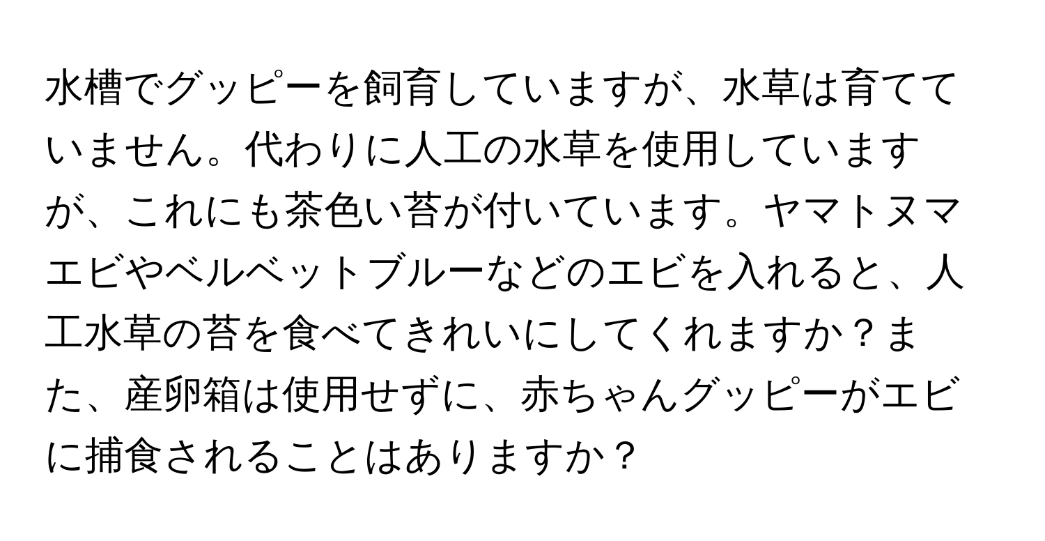 水槽でグッピーを飼育していますが、水草は育てていません。代わりに人工の水草を使用していますが、これにも茶色い苔が付いています。ヤマトヌマエビやベルベットブルーなどのエビを入れると、人工水草の苔を食べてきれいにしてくれますか？また、産卵箱は使用せずに、赤ちゃんグッピーがエビに捕食されることはありますか？