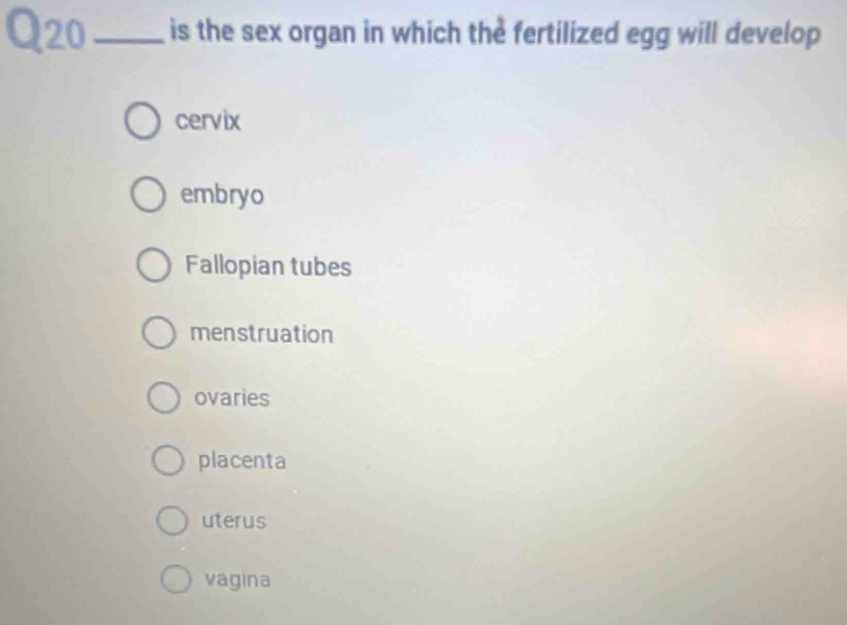 Q20_ is the sex organ in which the fertilized egg will develop
cervix
embryo
Fallopian tubes
menstruation
ovaries
placenta
uterus
vagina