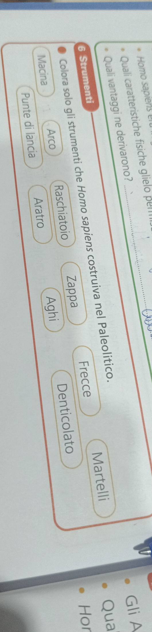 Homo sapiens elt_ 
Gli A 
Quali caratteristiche fisiche glielo pel 
Quali vantaggi ne derivarono? 
Colora solo gli strumenti che Homo sapiens costruiva nel Paleolitico. 
Qua
6 Strumenti 
Hor 
Raschiatoio Zappa Frecce Martelli 
Arco Aghi 
Punte di lancia Aratro Denticolato 
Macina