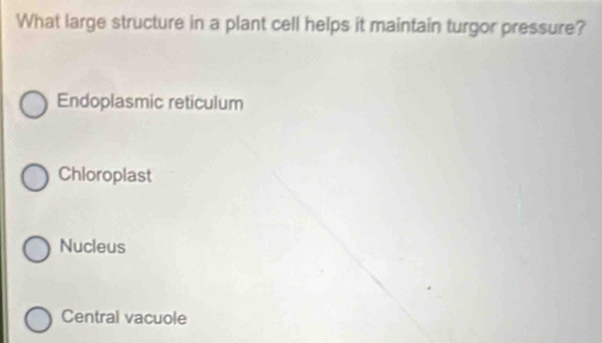 What large structure in a plant cell helps it maintain turgor pressure?
Endoplasmic reticulum
Chioroplast
Nucleus
Central vacuole