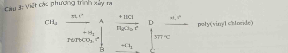 Viết các phương trình xảy ra
CH_4 □  frac N_1r^2PMer_2_2r^2 poly(vinyl chloride) 
B beginarrayr +HCl HgCl_2P2S_2^(+endarray) frac beginarrayr Dn_3Tendarray 