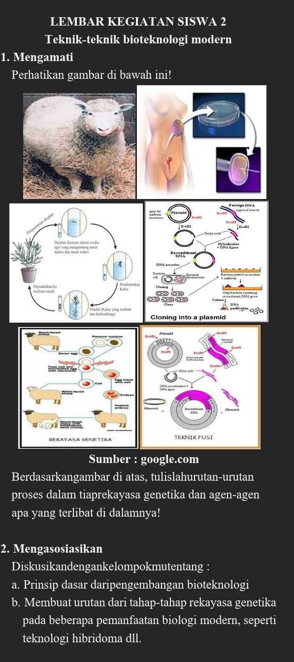 LEMBAR KEGIATAN SISWA 2 
Teknik-teknik bioteknologi modern 
1. Mengamati 
Perhatikan gambar di bawah ini! 
ass t=== 
C C 

J3 
11 J 
TEKNIK FUSI 
Sumber : google.com 
Berdasarkangambar di atas, tulislahurutan-urutan 
proses dalam tiaprekayasa genetika dan agen-agen 
apa yang terlibat di dalamnya! 
2. Mengasosiasikan 
Diskusikandengankelompokmutentang : 
a. Prinsip dasar daripengembangan bioteknologi 
b. Membuat urutan dari tahap-tahap rekayasa genetika 
pada beberapa pemanfaatan biologi modern, seperti 
teknologi hibridoma dll.