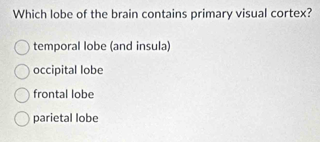 Solved: Which lobe of the brain contains primary visual cortex ...