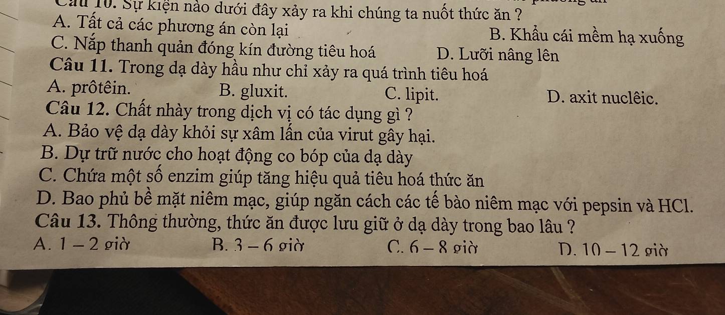 Lau 10. Sự kiện nào dưới đây xảy ra khi chúng ta nuốt thức ăn ?
A. Tất cả các phương án còn lại B. Khẩu cái mềm hạ xuống
C. Nắp thanh quản đóng kín đường tiêu hoá D. Lưỡi nâng lên
Câu 11. Trong dạ dày hầu như chỉ xảy ra quá trình tiêu hoá
A. prôtêin. B. gluxit. C. lipit. D. axit nuclêic.
Câu 12. Chất nhày trong dịch vị có tác dụng gì ?
A. Bảo vệ dạ dày khỏi sự xâm lần của virut gây hại.
B. Dự trữ nước cho hoạt động co bóp của dạ dày
C. Chứa một số enzim giúp tăng hiệu quả tiêu hoá thức ăn
D. Bao phủ bề mặt niêm mạc, giúp ngăn cách các tế bào niêm mạc với pepsin và HCl.
Câu 13. Thông thường, thức ăn được lưu giữ ở dạ dày trong bao lâu ?
A. 1 - 2 giờ B. 3 - 6 giờ C. 6-8 già già
D. 10-12