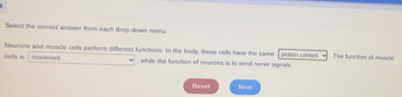 Select the correct answer from each drop-down menu 
Neurons and muscle cells perform different functions. In the body, these cells have the same protein content . The function of muscle 
cells is movement , while the function of neurons is to send nerve signals. 
Reset Next