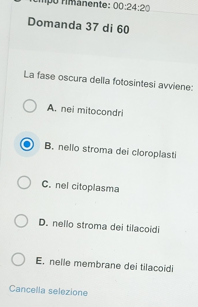 rímpó rimanente: 00:24:20 
Domanda 37 di 60
La fase oscura della fotosintesi avviene:
A. nei mitocondri
B. nello stroma dei cloroplasti
C. nel citoplasma
D. nello stroma dei tilacoidi
E. nelle membrane dei tilacoidi
Cancella selezione