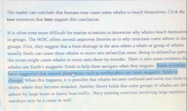 The reader can conclude that humans may cause some whales to beach themselves. Click the
two sentences that best support this conclusion.
It is often even more difficult for marine scientists to determine why whales beach themselve
in groups. The WDC offers several unproven theories as to why cetaceans come ashore to die
groups. First, they suggest that a food shortage in the area where a whale or group of whales
usually feeds can cause these whales to move into unfamiliar areas. Being in unfamiliar parts
the ocean might cause whales to swim onto shore by mistake. There is also some evidence tha
whales use Earth’s magnetic fields to help them navigate when they migrate. Some scientists
have suggested that natural phenomena such as earthquakes can cause magnetic fields to
change. When this happens, it is possible that whales become confused and swim too close to
shore, where they become stranded. Another theory holds that some groups of whales are driv
ashore by large boats or heavy boat traffic. Navy training exercises involving large numbers
warships may be a cause as well.