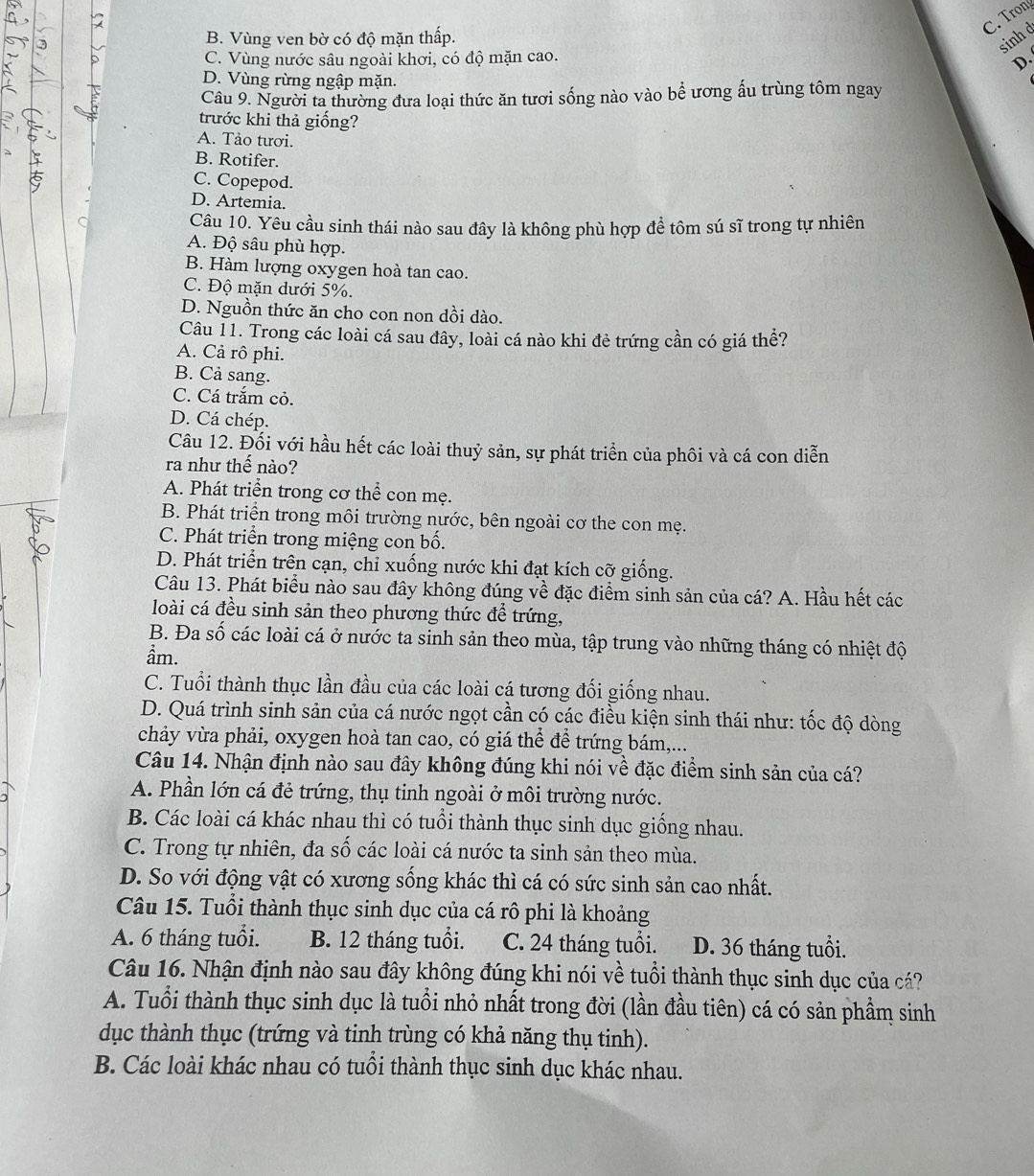 C. Trong
B. Vùng ven bờ có độ mặn thấp.
sinhd
C. Vùng nước sâu ngoài khơi, có độ mặn cao.
D.
D. Vùng rừng ngập mặn.
Câu 9. Người ta thường đưa loại thức ăn tươi sống nào vào bể ương ấu trùng tôm ngay
trước khi thả giống?
A. Tảo tươi.
B. Rotifer.
C. Copepod.
D. Artemia.
Câu 10. Yêu cầu sinh thái nào sau đây là không phù hợp để tôm sú sĩ trong tự nhiên
A. Độ sâu phù hợp.
B. Hàm lượng oxygen hoà tan cao.
C. Độ mặn dưới 5%.
D. Nguồn thức ăn cho con non dồi dào.
Câu 11. Trong các loài cá sau đây, loài cá nào khi đẻ trứng cần có giá thể?
A. Cả rô phi.
B. Cả sang.
C. Cá trắm cỏ.
D. Cá chép.
Câu 12. Đối với hầu hết các loài thuỷ sản, sự phát triển của phôi và cá con diễn
ra như thế nào?
A. Phát triển trong cơ thể con mẹ.
B. Phát triển trong môi trường nước, bên ngoài cơ the con mẹ.
C. Phát triển trong miệng con bố.
D. Phát triển trên cạn, chỉ xuống nước khi đạt kích cỡ giống.
Câu 13. Phát biểu nào sau đây không đúng về đặc điểm sinh sản của cá? A. Hầu hết các
loài cá đều sinh sản theo phương thức để trứng,
B. Đa số các loài cá ở nước ta sinh sản theo mùa, tập trung vào những tháng có nhiệt độ
ầm.
C. Tuổi thành thục lần đầu của các loài cá tương đối giống nhau.
D. Quá trình sinh sản của cá nước ngọt cần có các điều kiện sinh thái như: tốc độ dòng
chảy vừa phải, oxygen hoà tan cao, có giá thể để trứng bám,...
Câu 14. Nhận định nào sau đây không đúng khi nói về đặc điểm sinh sản của cá?
A. Phần lớn cá đẻ trứng, thụ tinh ngoài ở môi trường nước.
B. Các loài cá khác nhau thì có tuổi thành thục sinh dục giống nhau.
C. Trong tự nhiên, đa số các loài cá nước ta sinh sản theo mùa.
D. So với động vật có xương sống khác thì cá có sức sinh sản cao nhất.
Câu 15. Tuổi thành thục sinh dục của cá rô phi là khoảng
A. 6 tháng tuổi. B. 12 tháng tuổi. C. 24 tháng tuổi. D. 36 tháng tuổi.
Câu 16. Nhận định nào sau đây không đúng khi nói về tuổi thành thục sinh dục của cá?
A. Tuổi thành thục sinh dục là tuổi nhỏ nhất trong đời (lần đầu tiên) cá có sản phầm sinh
dục thành thục (trứng và tinh trùng có khả năng thụ tinh).
B. Các loài khác nhau có tuổi thành thục sinh dục khác nhau.