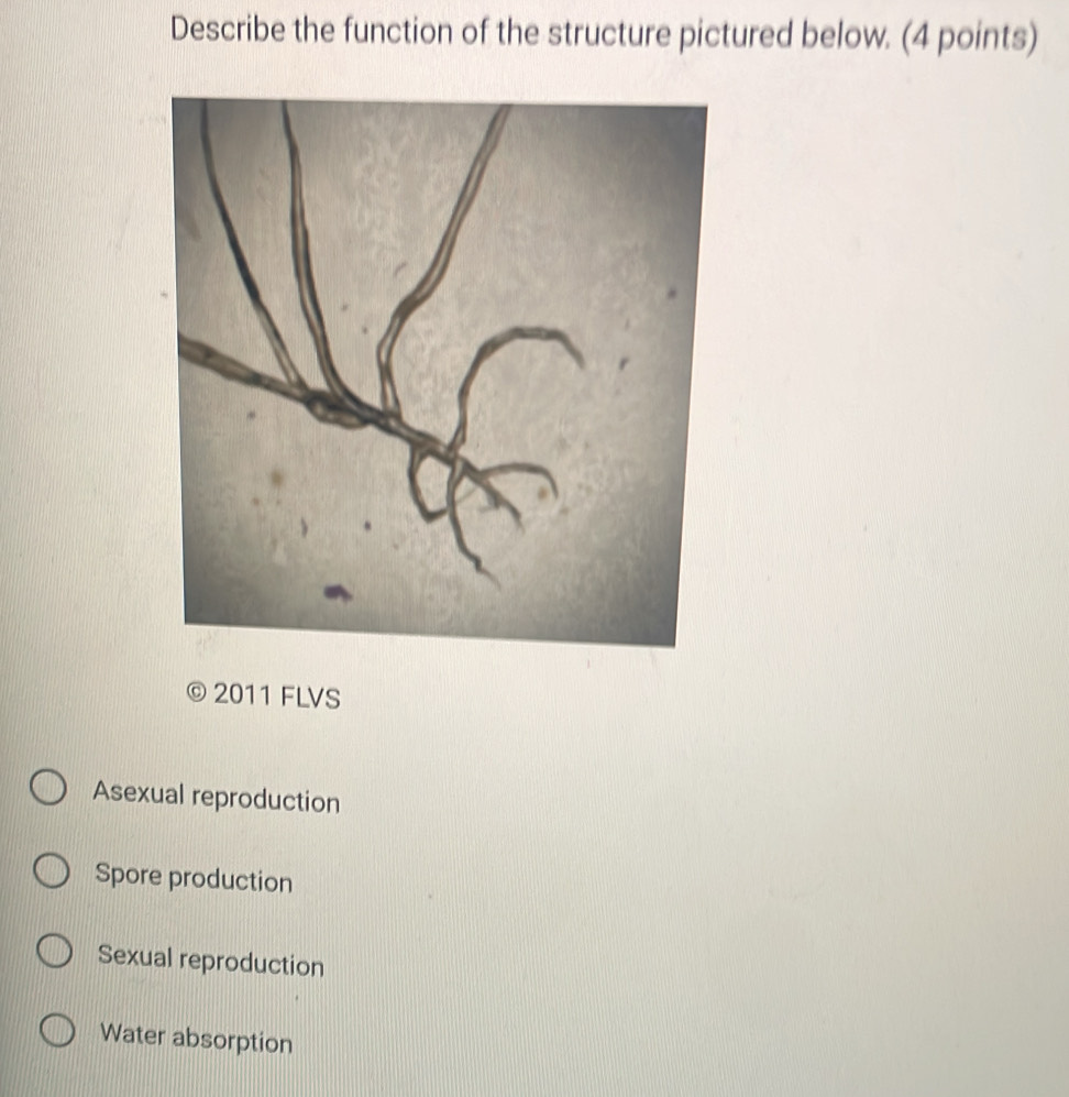 Solved: Describe the function of the structure pictured below. (4 points)  2011 FLVS Asexual reprod [Biology]