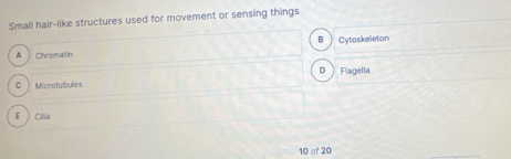 Small hair-like structures used for movement or sensing things
B
A Chromatin Cytoskeleton
D ) Flagella
C  Microtubules
E  Cilia
10 of 20