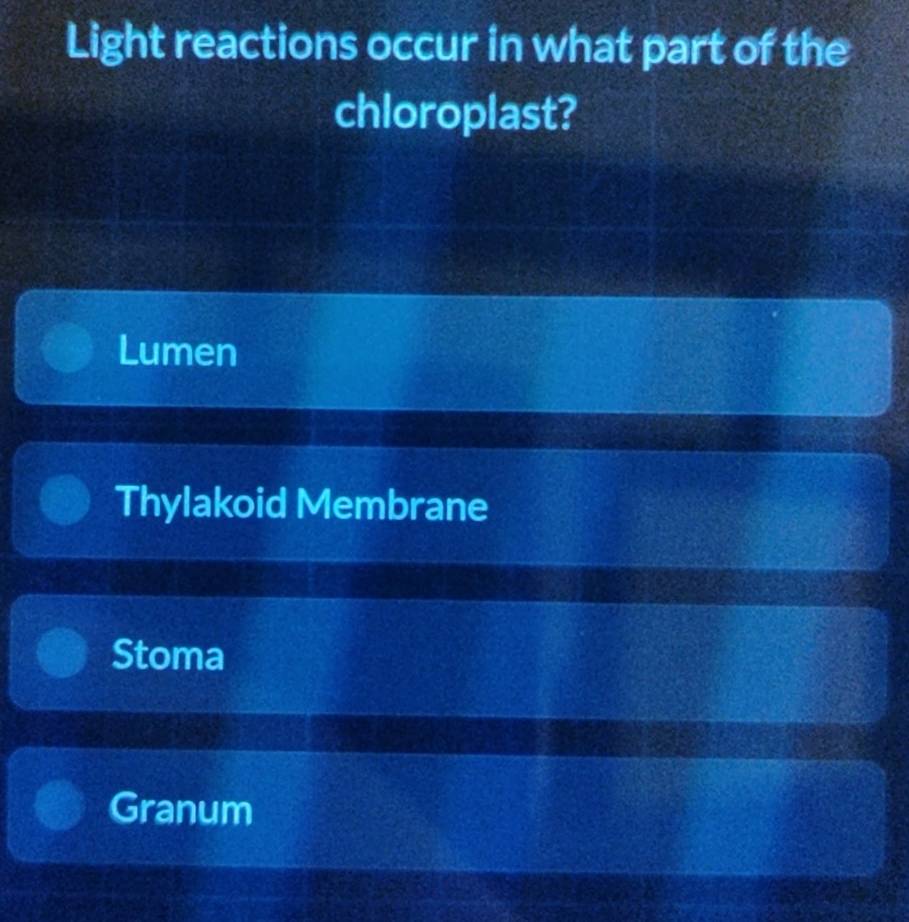 Light reactions occur in what part of the
chloroplast?
Lumen
Thylakoid Membrane
Stoma
Granum