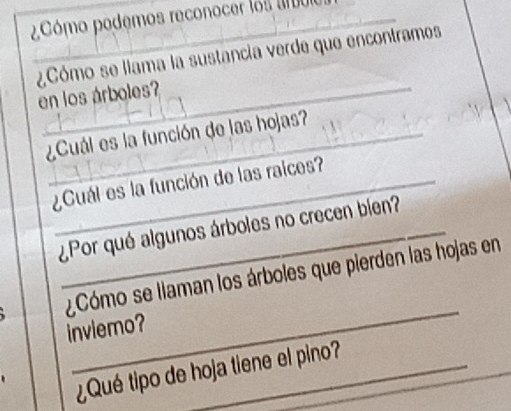 2Cómo podemos reconocer los ar o 
¿Cómo se llama la sustancia verde que encontramos 
en los árboles? 
¿Cuál es la función de las hojas? 
¿Cuál es la función de las raices? 
¿Por qué algunos árboles no crecen bien? 
_ 
¿Cómo se liaman los árboles que pierden las hojas en 
inviemo? 
¿Qué tipo de hoja tiene el pino?