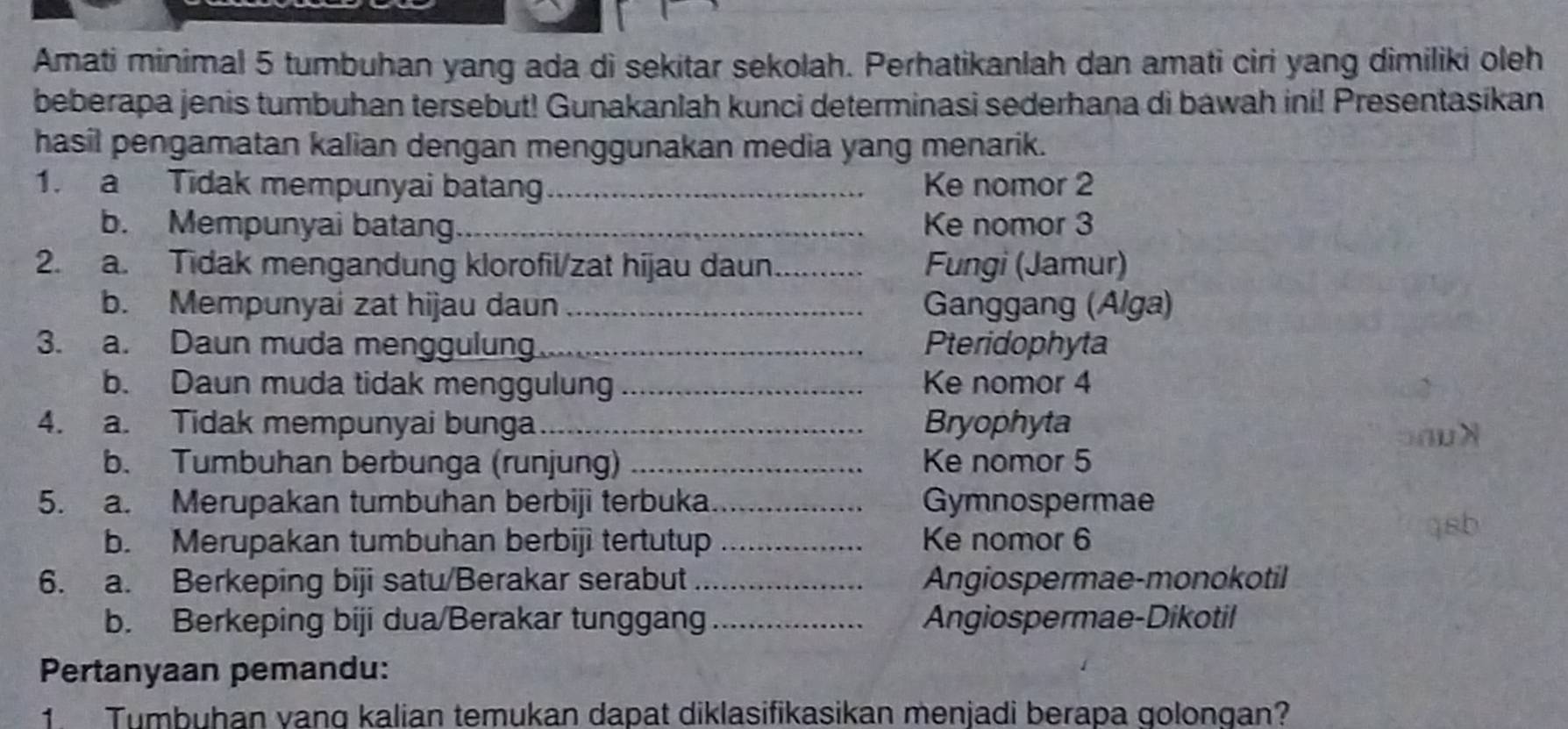 Amati minimal 5 tumbuhan yang ada di sekitar sekolah. Perhatikanlah dan amati ciri yang dimiliki oleh 
beberapa jenis tumbuhan tersebut! Gunakanlah kunci determinasi sederhana di bawah ini! Presentasikan 
hasil pengamatan kalian dengan menggunakan media yang menarik. 
1. a Tidak mempunyai batang_ Ke nomor 2
b. Mempunyai batang. _Ke nomor 3
2. a. Tidak mengandung klorofil/zat hijau daun_ Fungi (Jamur) 
b. Mempunyai zat hijau daun _Ganggang (Alga) 
3. a. Daun muda menggulung_ Pteridophyta 
b. Daun muda tidak menggulung_ Ke nomor 4
4. a. Tidak mempunyai bunga _Bryophyta 
b. Tumbuhan berbunga (runjung) _Ke nomor 5
5. a. Merupakan tumbuhan berbiji terbuka _Gymnospermae 
b. Merupakan tumbuhan berbiji tertutup _Ke nomor 6
6. a. Berkeping biji satu/Berakar serabut _Angiospermae-monokotil 
b. Berkeping biji dua/Berakar tunggang_ Angiospermae-Dikotil 
Pertanyaan pemandu: 
1 Tumbuhan vang kalian temukan dapat diklasifikasikan menjadi berapa golongan?