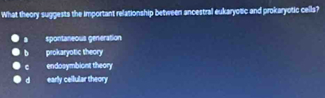 What theory suggests the important relationship between ancestral eukaryotic and prokaryotic cells?
spontaneous generation
D prokaryotic theory
c endosymbiont theory
dà early cellular theory