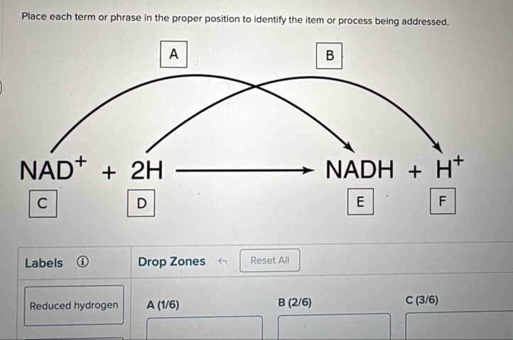 Place each term or phrase in the proper position to identify the item or process being addressed.
Labels Drop Zones Reset All
CD
Reduced hydrogen A(1/6) B(2/6) 3/6)