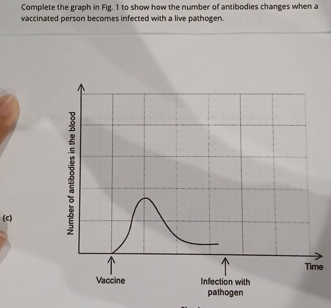 Complete the graph in Fig. 1 to show how the number of antibodies changes when a 
vaccinated person becomes infected with a live pathogen. 
(C) 
e