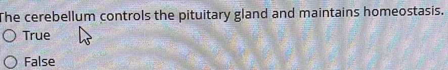 The cerebellum controls the pituitary gland and maintains homeostasis.
True
False