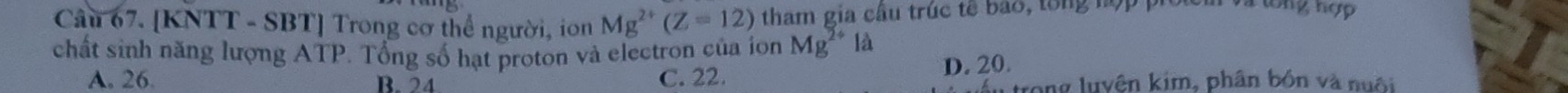 [KNTT - SBT] Trong cơ thể người, ion Mg^(2+)(Z=12) tham gia câu trúc tế bao, tổng hợp piố m V tổng nợp
chất sinh năng lượng ATP. Tổng số hạt proton và electron của ion Mg^(2+) là
A. 26. B. 24 C. 22. D. 20.
u trong luyện kim, phân bồn và nuôi