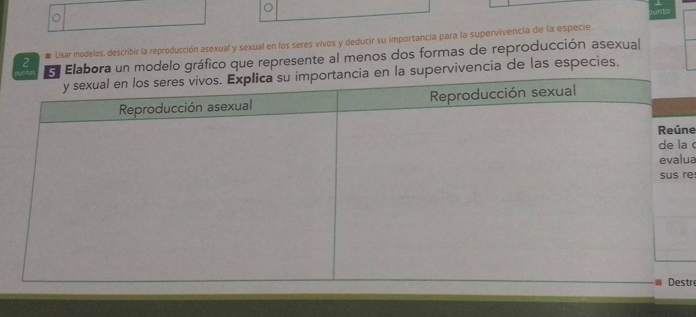 bunto 
2 * Usar modelos, describir la reproducción asexual y sexual en los seres vivos y deducir su importancia para la supervivencia de la especie. 
5l Elabora un modelo gráfico que represente al menos dos formas de reproducción asexual 
a supervivencia de las especies. 
ne 
a c 
ua 
re 
stre