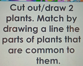 Cut out/draw 2
plants. Match by 
drawing a line the 
parts of plants that 
are common to 
them.