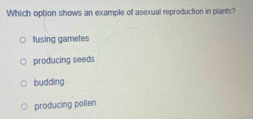 Which option shows an example of asexual reproduction in plants?
fusing gametes
producing seeds
budding
producing pollen