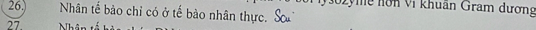 Hysozyme hơn vi khuân Gram dương 
26.) Nhân tế bào chỉ có ở tế bào nhân thực. 
27