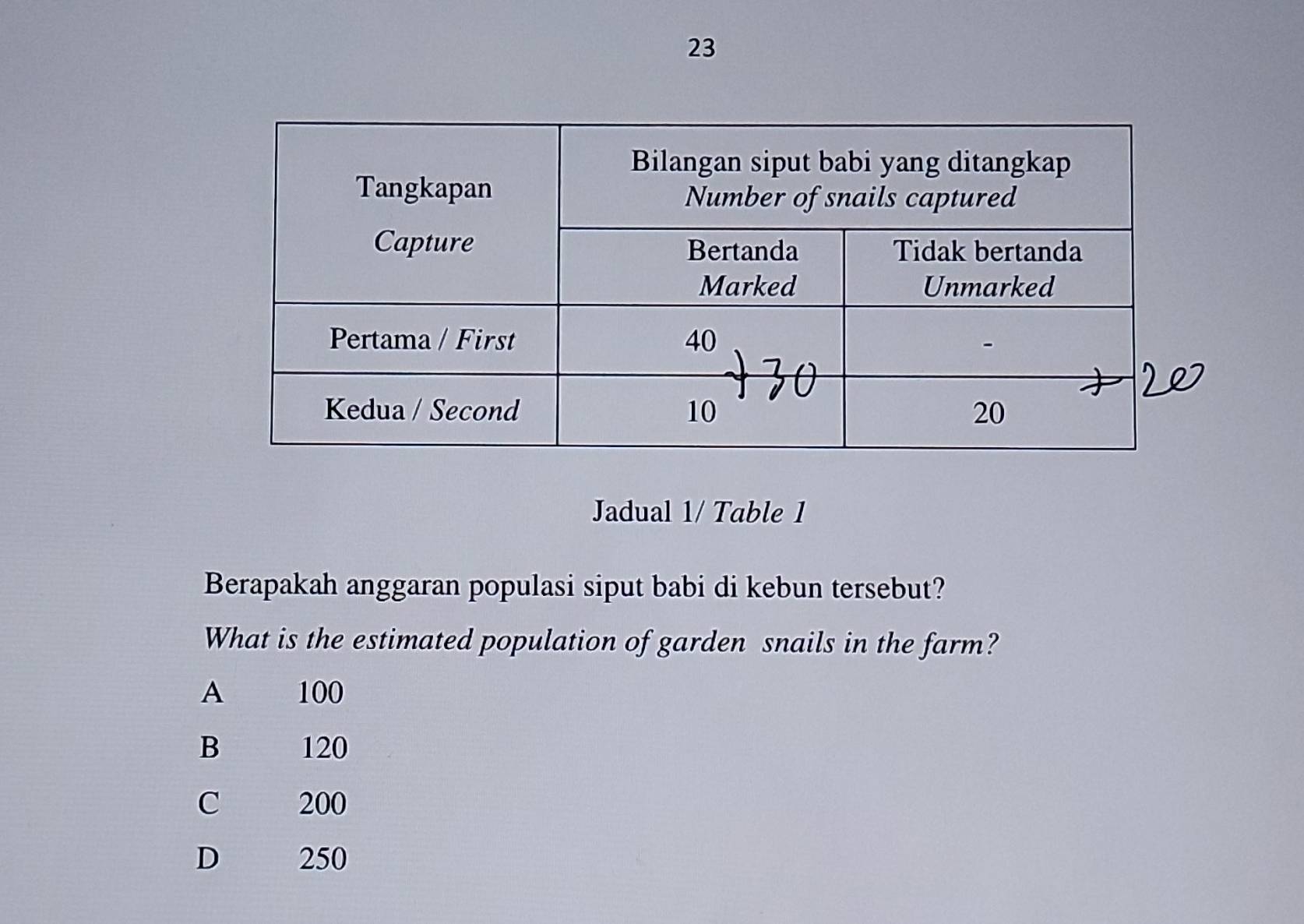 Jadual 1/ Table 1
Berapakah anggaran populasi siput babi di kebun tersebut?
What is the estimated population of garden snails in the farm?
A 100
B 120
C 200
D 250