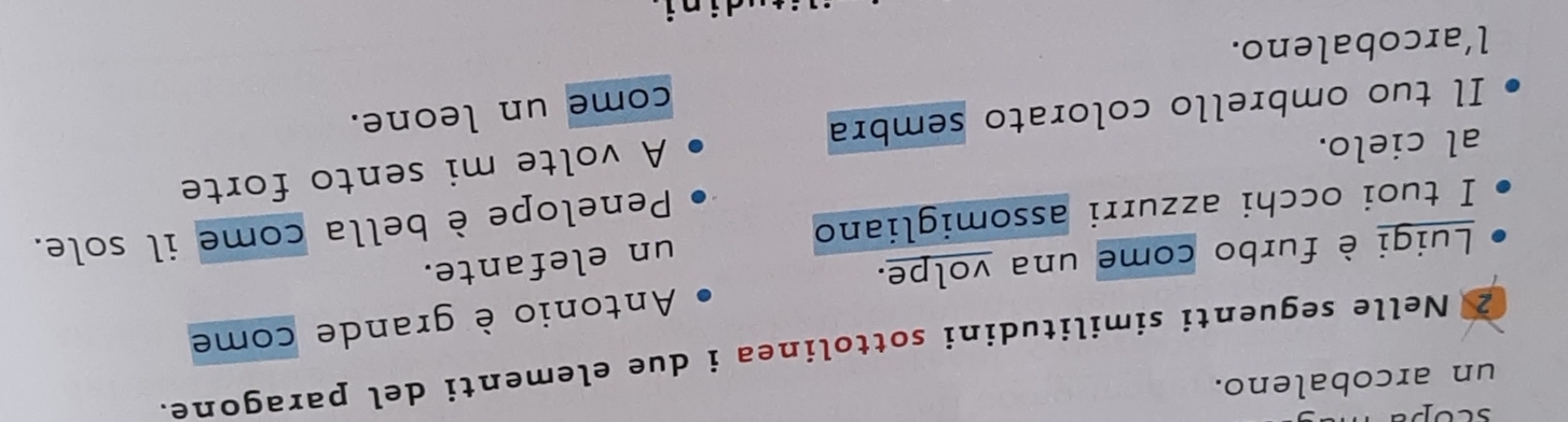 scope 
un arcobaleno. 
2 Nelle seguenti similitudini sottolinea i due elementi del paragone. 
Luigi è furbo come una volpe. Antonio è grande come 
Penelope è bella come il sole. 
I tuoi occhi azzurri assomigliano un elefante. 
al cielo. 
Il tuo ombrello colorato sembra A volte mi sento forte 
come un leone. 
l’arcobaleno.
