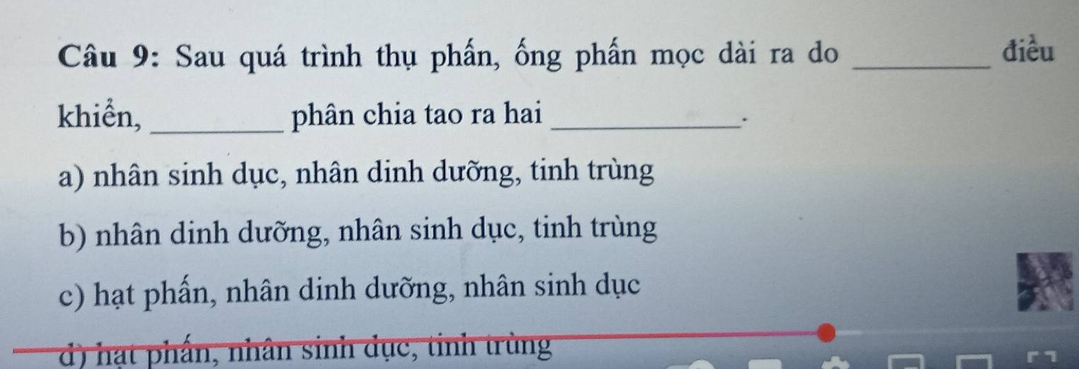 Sau quá trình thụ phần, ống phần mọc dài ra do_
điều
khiển, _phân chia tao ra hai_
a) nhân sinh dục, nhân dinh dưỡng, tinh trùng
b) nhân dinh dưỡng, nhân sinh dục, tinh trùng
c) hạt phấn, nhân dinh dưỡng, nhân sinh dục
d) hạt phần, nhân sinh dục, tinh trùng