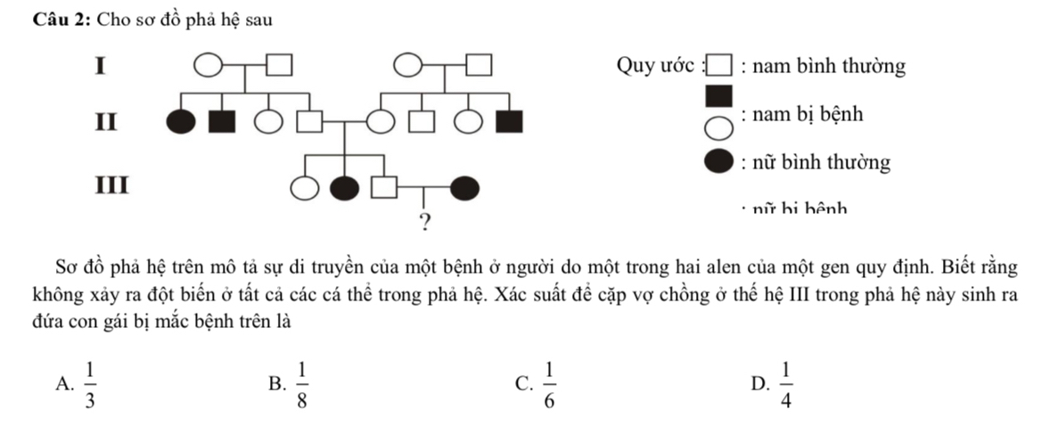 Cho sơ đồ phả hệ sau
IQuy ước : nam bình thường
II
: nam bị bệnh
: nữ bình thường
III
nữ hi hệnh
Sơ đồ phả hệ trên mô tả sự di truyền của một bệnh ở người do một trong hai alen của một gen quy định. Biết rằng
không xảy ra đột biến ở tất cả các cá thể trong phả hệ. Xác suất để cặp vợ chồng ở thế hệ III trong phả hệ này sinh ra
đứa con gái bị mắc bệnh trên là
A.  1/3   1/8   1/6   1/4 
B.
C.
D.