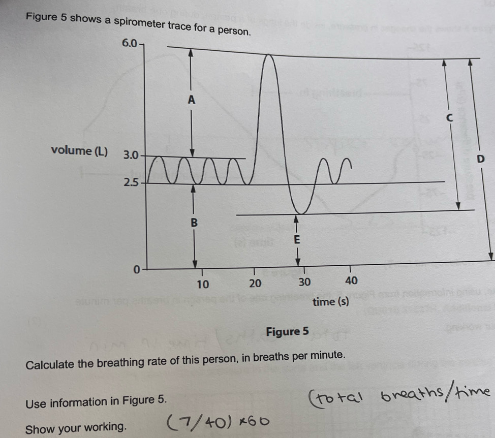 Figure 5 shows a spirometer trace for a per 
D 
Figure 5 
Calculate the breathing rate of this person, in breaths per minute. 
Use information in Figure 5. 
Show your working.