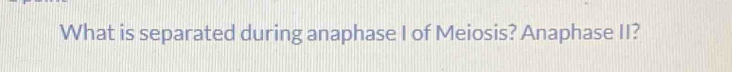 What is separated during anaphase I of Meiosis? Anaphase II?