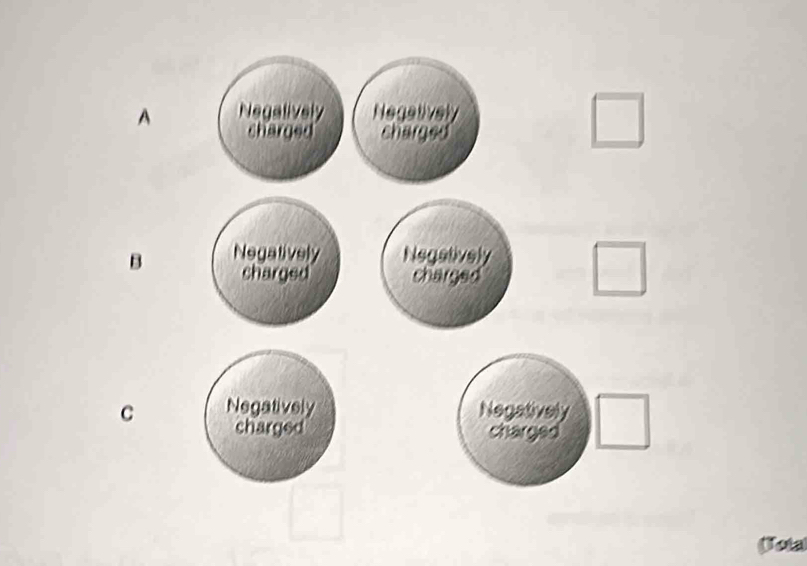 A Negalively Negatively
charged charged
B Negatively Negatively
charged charged
C Negatively Negatively
charged charged
(Tota