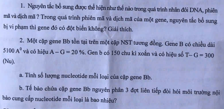 Nguyên tắc bổ sung được thể hiện như thế nào trong quá trình nhân đôi DNA, phiên 
mã và dịch mã ? Trong quá trình phiên mã và dịch mã của một gene, nguyên tắc bổ sung 
bị vi phạm thì gene đó có đột biến không? Giải thích. 
2. Một cặp gene Bb tồn tại trên một cặp NST tương đồng. Gene B có chiều dài
5100A^0 và có hiệu A-G=20%. Gen b có 150 chu kì xoắn và có hiệu số T-G=300
(Nu). 
a. Tính số lượng nucleotide mỗi loại của cặp gene Bb. 
b. Tế bào chứa cặp gene Bb nguyên phân 3 đợt liên tiếp đòi hỏi môi trường nội 
bào cung cấp nucleotide mỗi loại là bao nhiêu?