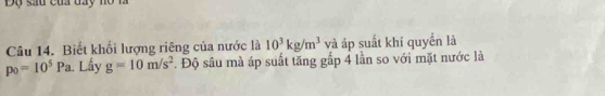 Độ sau của đay ho 
Câu 14. Biết khổi lượng riêng của nước là 10^3kg/m^3 và áp suất khí quyển là
p_0=10^5Pa Lấy g=10m/s^2 Độ sâu mà áp suất tăng gắp 4 lần so với mặt nước là