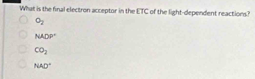 What is the final electron acceptor in the ETC of the light-dependent reactions?
O_2
NADP^+
CO_2
NAD^+