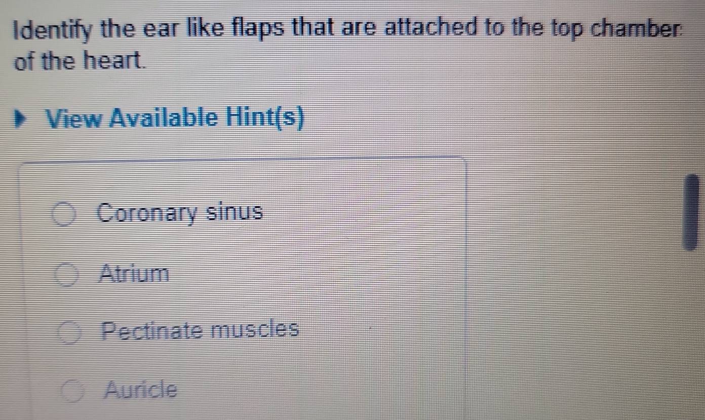 Solved: Identify the ear like flaps that are attached to the top ...