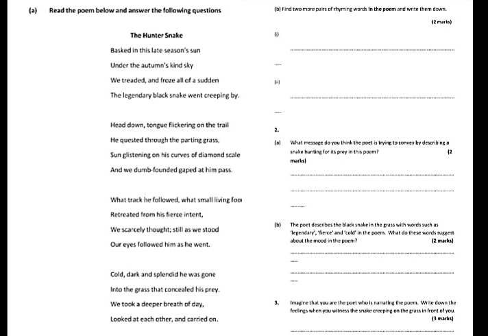 Read the poem below and answer the following questions (b) Find two more pairs of rhyming words in the poem and write them down. 
《2 marks》 
The Hunter Snake ω 
Basked in this late season's sun 
_ 
Under the autumn's kind sky 
_ 
We treaded, and froze all of a sudden 
The legendary black snake went creeping by._ 
. 
Head down, tongue flickering on the trail 2. 
He quested through the parting grass, (a) What message do you think the poet is trying to convey by describing a 
Sun glistening on his curves of diamond scale marks snake hunting for its prey in this poem? (2 
_ 
And we dumb-founded gaped at him pass. 
_ 
_ 
What track he followed, what small living foo 
Retreated from his fierce intent, 
We scarcely thought; still as we stood (b) The poet describes the black snake in the grass with words such as 
'legendary", "fierce' and 'cold" in the poem. What do these words suggest 
Our eyes followed him as he went. about the mood in the poem? (2 marks) 
_ 
_ 
_ 
Cold, dark and splendid he was gone 
_ 
Into the grass that concealed his prey. 
We took a deeper breath of day, 3. Imagine that you are the poet who is narrating the poem. Write down the 
feellings when you witness the snake creeping on the grass in front of you . 
Looked at each other, and carried on. (3 marks) 
_