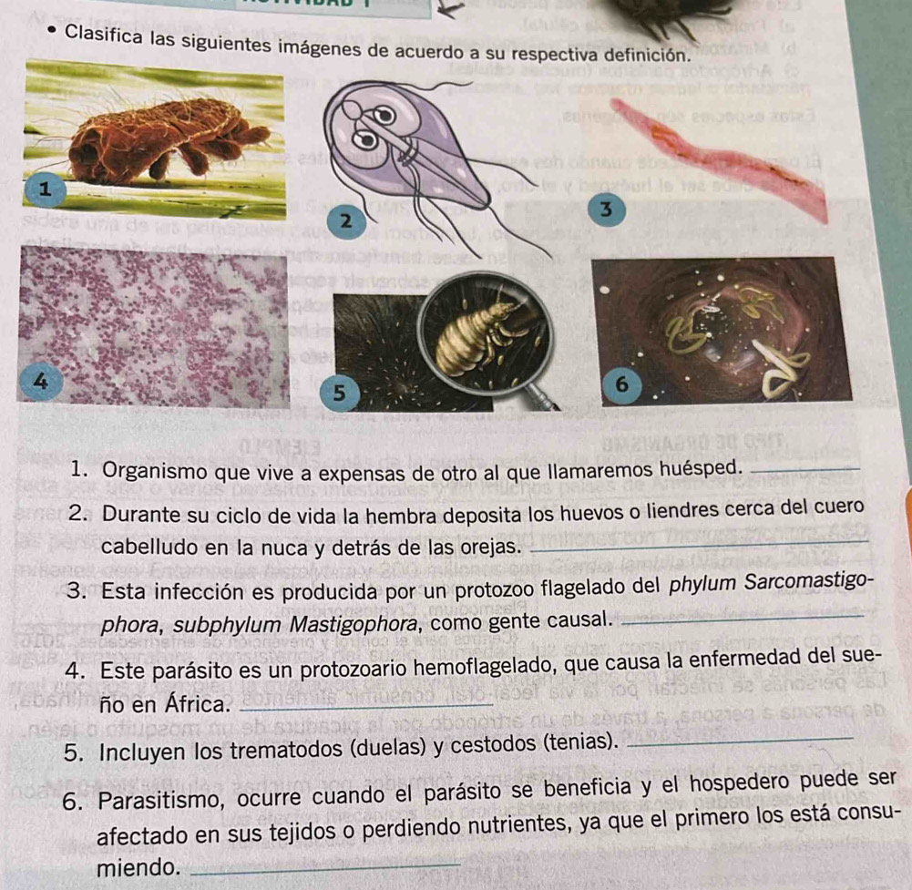 Clasifica las siguientes imágenes de acuerdo a su respectiva definición. 
2 
3 
5 
1. Organismo que vive a expensas de otro al que llamaremos huésped._ 
2. Durante su ciclo de vida la hembra deposita los huevos o liendres cerca del cuero 
cabelludo en la nuca y detrás de las orejas. 
_ 
3. Esta infección es producida por un protozoo flagelado del phylum Sarcomastigo- 
phora, subphylum Mastigophora, como gente causal. 
_ 
4. Este parásito es un protozoario hemoflagelado, que causa la enfermedad del sue- 
ño en África._ 
5. Incluyen los trematodos (duelas) y cestodos (tenias). 
_ 
6. Parasitismo, ocurre cuando el parásito se beneficia y el hospedero puede ser 
afectado en sus tejidos o perdiendo nutrientes, ya que el primero los está consu- 
miendo._