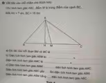● Viết tiếp vào chỗ chẩm cho thích hợp. Cho hình tam giác ABC, điểm M là trung điểm của cạnh BC, Biết AH=7dm, BC=16dm. a) Độ dài của mỗi đoạn BM và MC là: _ _ b) Diện tích hình tam giác ABM là: _= _ Diện tích hình tam giác AMC là: _= c) Diện tích hình tam giác ABM _diện tích hình tam giác AMC. Diện tích hình tam giác ABC gấp _lần diện tích hình tam giác ABM. Diện tích hình tam giác ABM bằng ..... diện tích hình tam giác ABC.