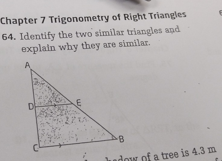 Chapter 7 Trigonometry of Right Triangles 
F 
64. Identify the two similar triangles and 
explain why they are similar. 
Lndow of a tree is 4.3 m
C